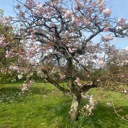 別荘 House Six Bed 4km From Centre