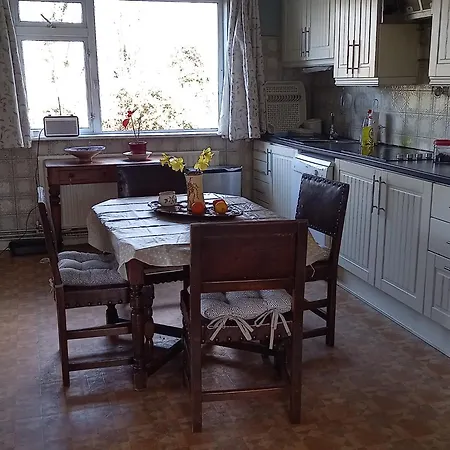House Six Bed 4km From Centre Limerick Junction