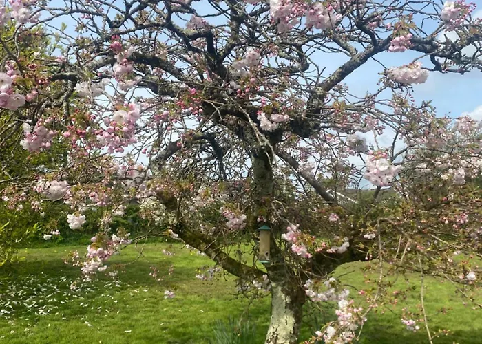 בית נופש House Six Bed 4km From Centre