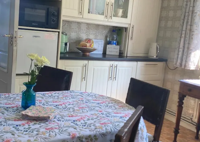 House Six Bed 4km From Centre Limerick Junction